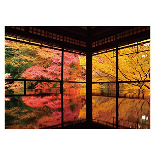 Amazon.co.jp: 瑠璃光院 紅葉 京都 日本の風景 ポスター 選べる5サイズ